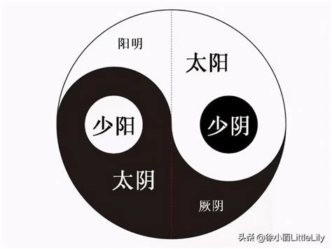 陽氣太重意思|六經釋疑：如何理解太陽、太陰、少陽、少陰、陽明、。